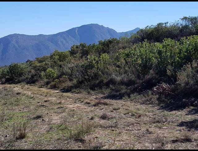 FARM FOR SALE IN PIKETBERG RURAL